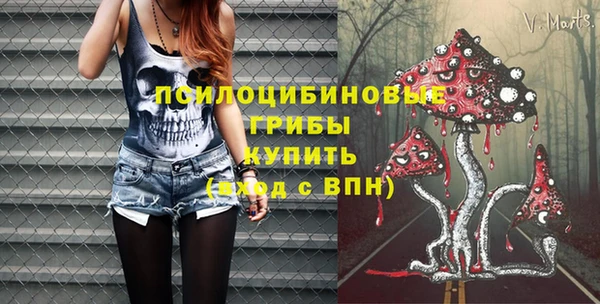 2c-b Рославль