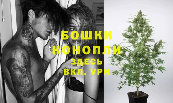 2c-b Рославль