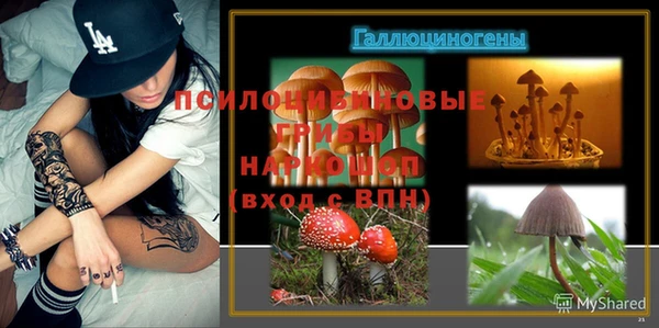2c-b Рославль