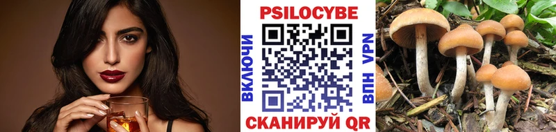 KRAKEN маркетплейс  магазин    Фёдоровский  дарк нет телеграм  Галлюциногенные грибы Psilocybine cubensis 